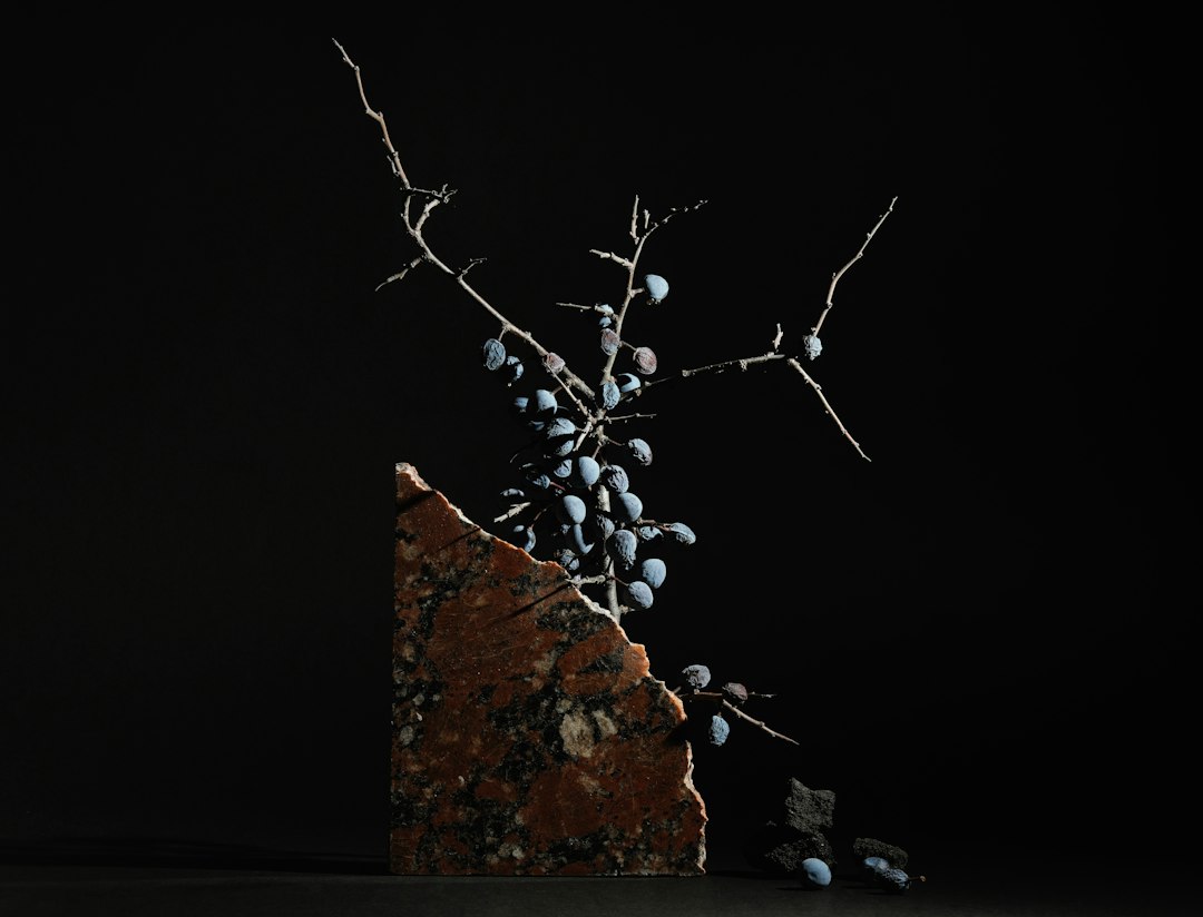 Rock photographed as a premium still life